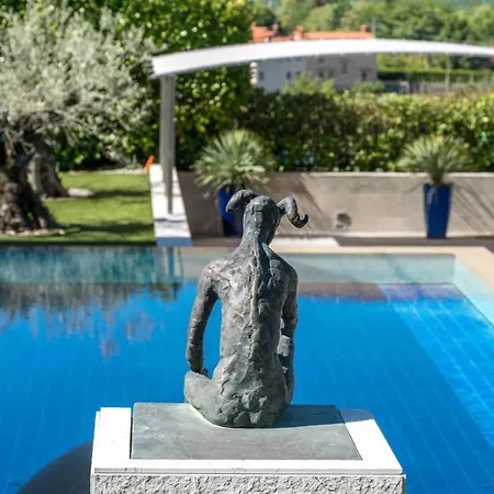 Vila Ms Vila