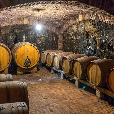 Vila Ms Villa *