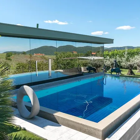 Vila Ms Villa Dutovlje